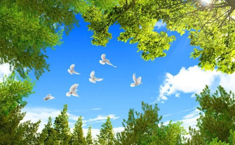 QQ截图20200627145652