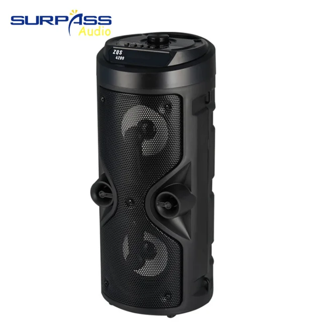 portable speaker with microphone input