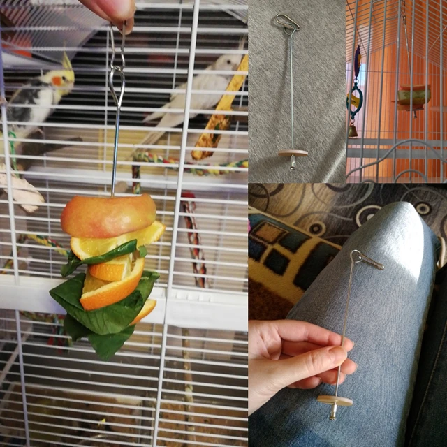 Pet Parrots Birds Food Holder Support Stainless Steel Fruit Spear Stick Meat Fruit Vegetable Skewer Bird Feeder Meat Skewer 6
