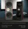 DS211021 HiFi hi-end speaker dual 21 inch bass 10 inch full frequency speaker Open Baffle loudspeaker 3