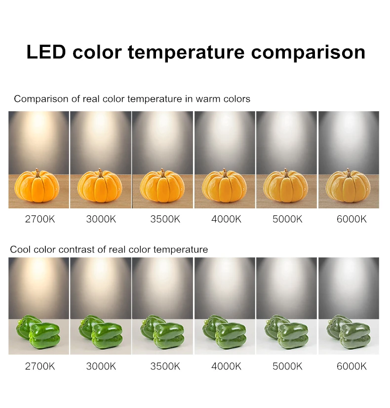 O1CN01kO0cUy2CWLcjXKJJs_!!690788481