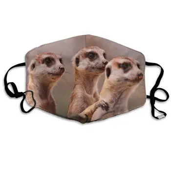 

Face Cloths Anti-Dust Mouth Cover Popular Three Brown Meerkats Animal Washable And Reusable Cloth Warm Windproof For Women Men
