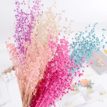

60g / Bunch Mermaid Flower Dried Acacia Bean Artificial Flower Handmade Marriage Wreath Craft For Home Wedding Christmas Decor