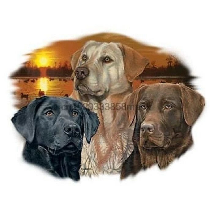 Футболка с изображением собаки Лабрадора ретривера все размеры (386) | Мужская