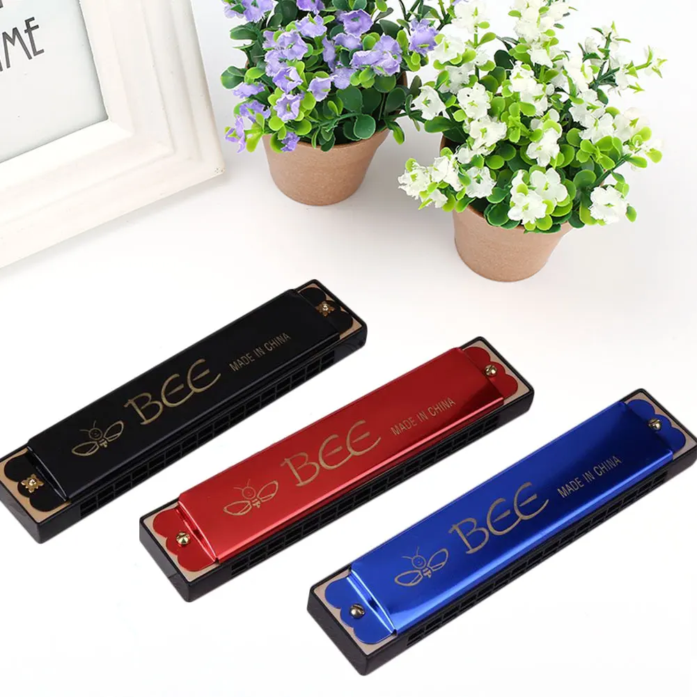 10 Holes C Key Diatonic Blues Harmonica Musical Beginner Education Toy Gift