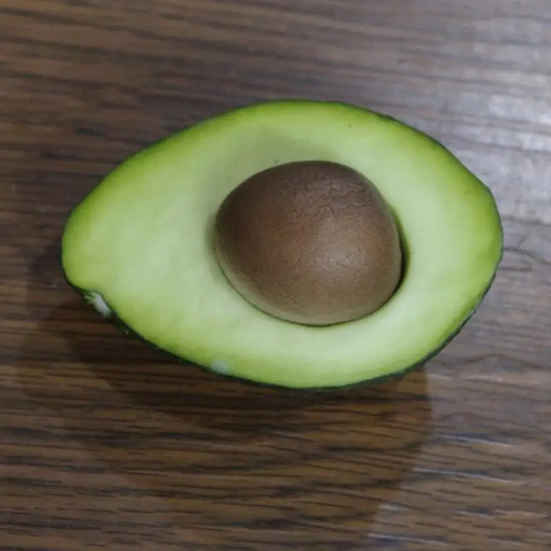Artificial Fruits Foam Simulation Avocado Lifelike Fruit Model Toy Props for Teaching Photography Props Home Decor