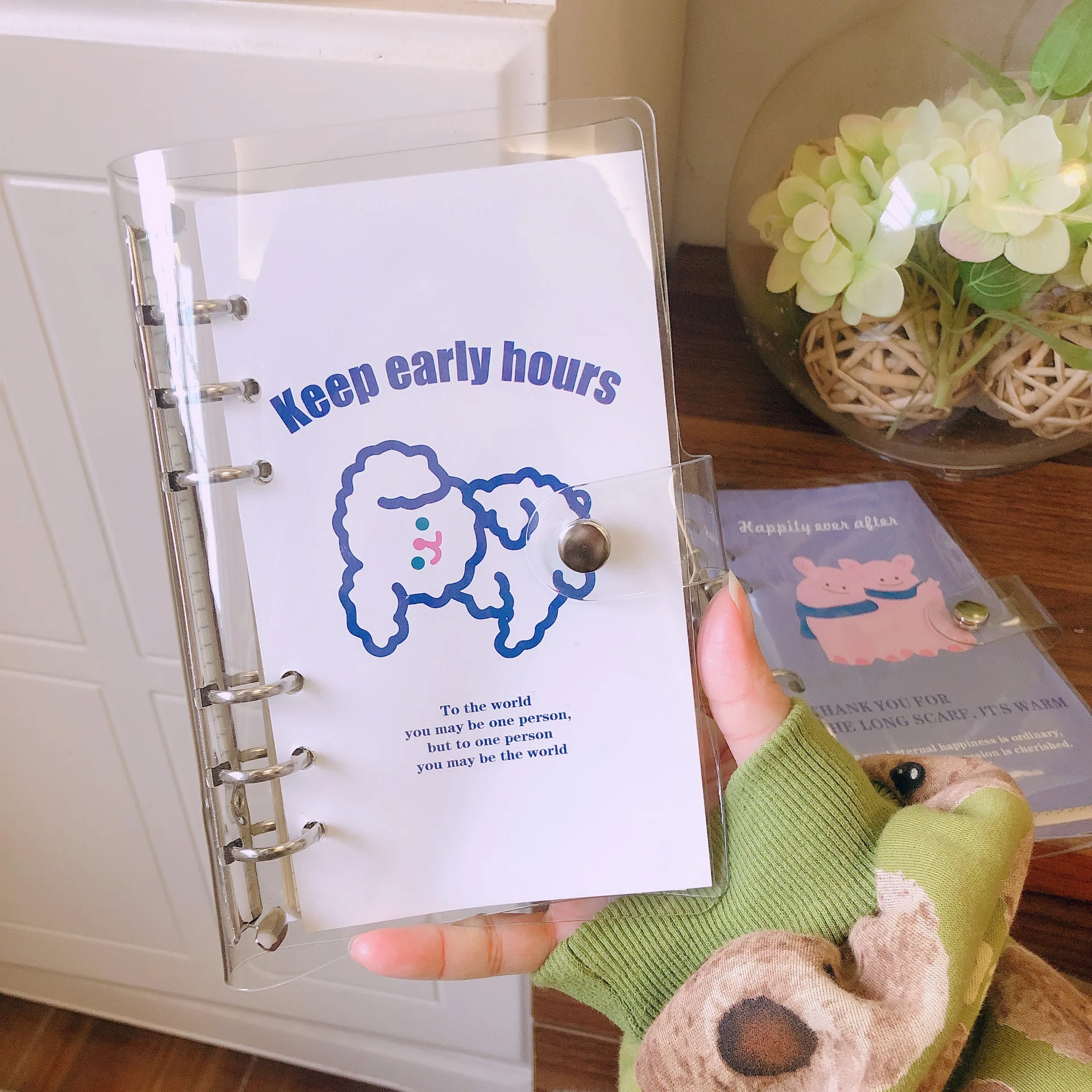 O1CN01QJ8lqd2IeUM2g6Lx8_!!2281