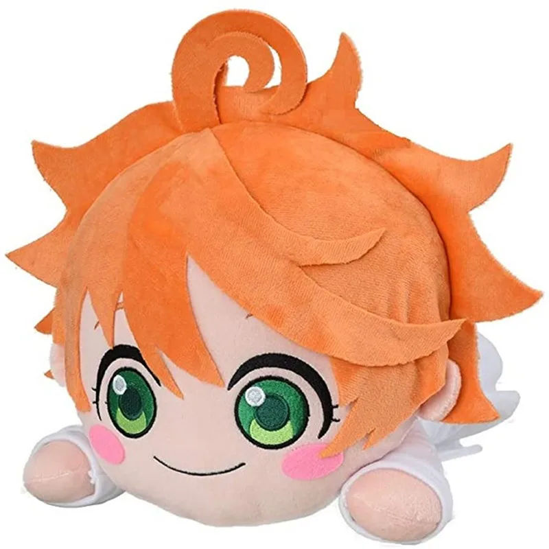 ray nesoberi