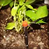 Garden Supplies