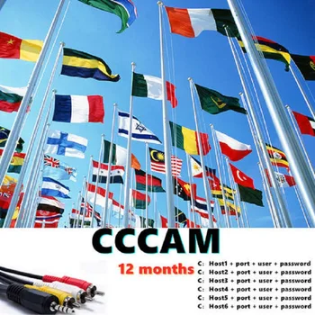 

2020 Global 12 month 6 & 7 & 8 clines cccams DVB S2 full HD ultra stable not included app