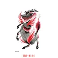 Image 30