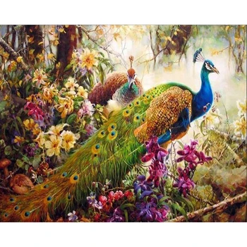 

GATYZTORY DIY Painting By Numbers Peacock Animals Picture HandPainted Oil Painting Drawing On Canvas Home Decor