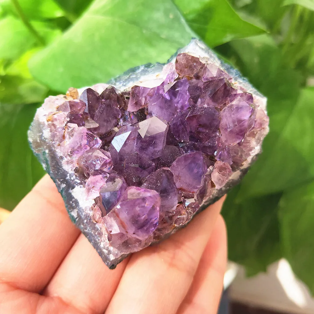 Ametist Crystal cluster Natural Amethyst quartz vug plating Gemstone Flower Crystals Healing 50-500g