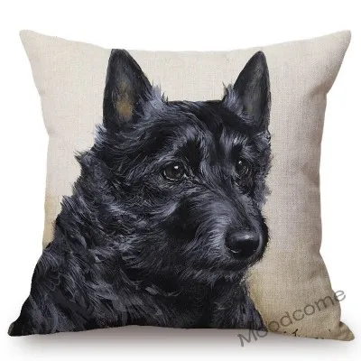 conew_n387 (36) 副本