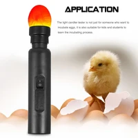Egg Candler Tester High Intensity Bright Cool LED Light Egg Candling Lamp For Monitoring Egg Chicken Quail Incubator Brooder 1