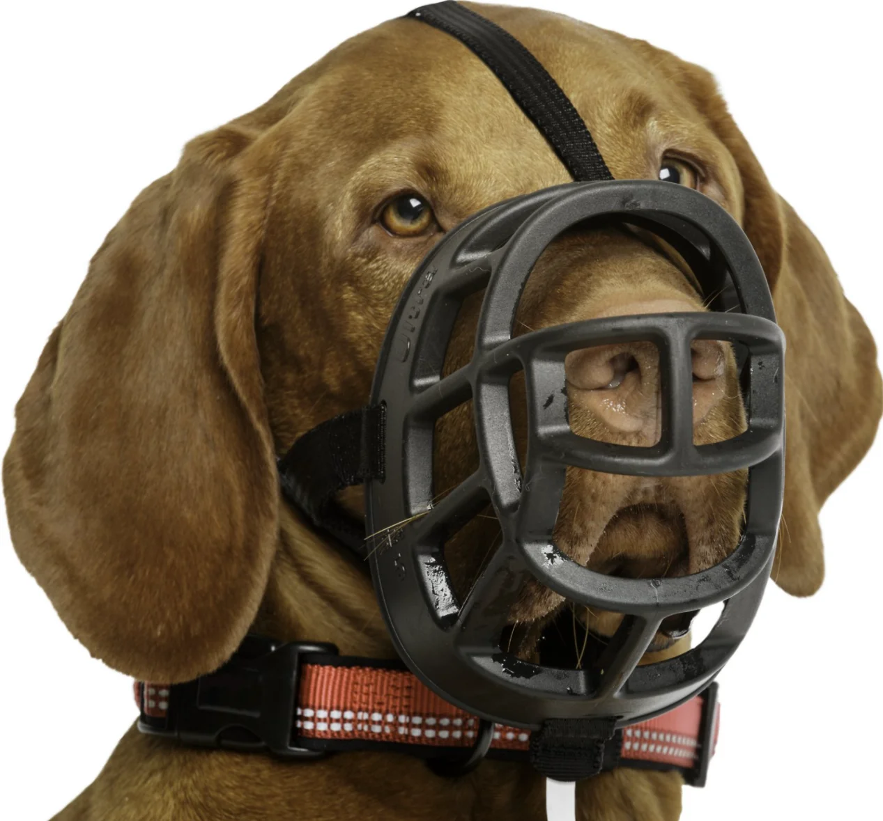 Baskerville Ultra Muzzle,Soft Basket Silicone Muzzles for Dog, Best