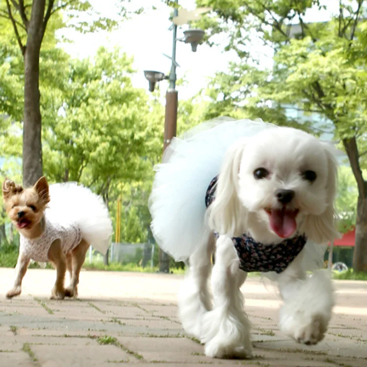 В настоящее время доступны Pet летняя одежда юбка для собак весна и лето стиль напрямую от производителя щенков принцесса