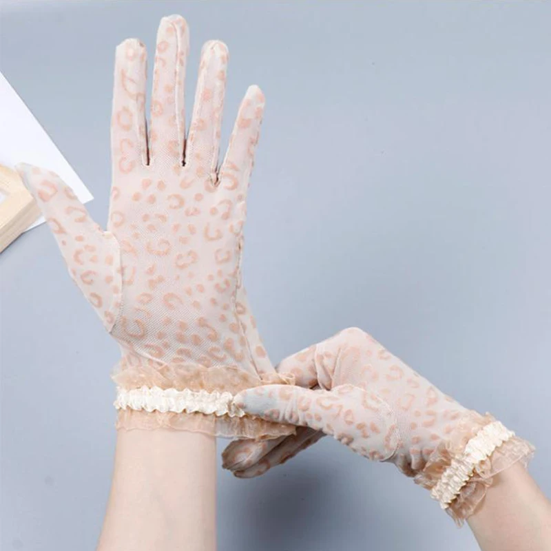 20554236386_1105863909