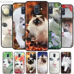 Белый Кот Ragdoll кошка Чехлы для samsung Galaxy J8 J6 J4 Plus 2018 M40 M30 M20 M10 черный силиконовый мягкий чехол