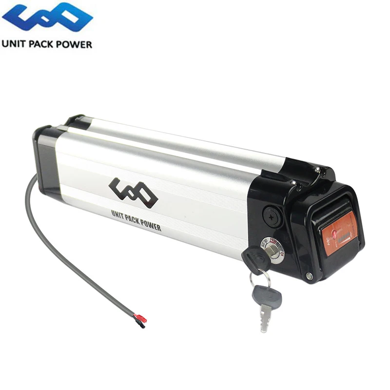 24 volt bicycle battery