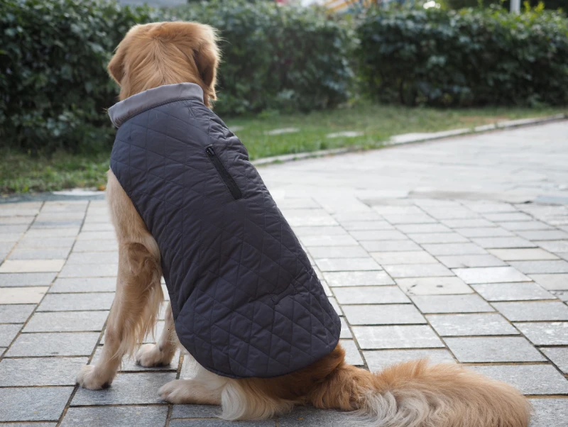 Водонепроницаемая одежда для домашних собак, зимняя одежда для маленьких и больших собак, куртка для больших собак, пальто для чихуахуа, мопса, жилет для французского бульдога, Ropa Perro