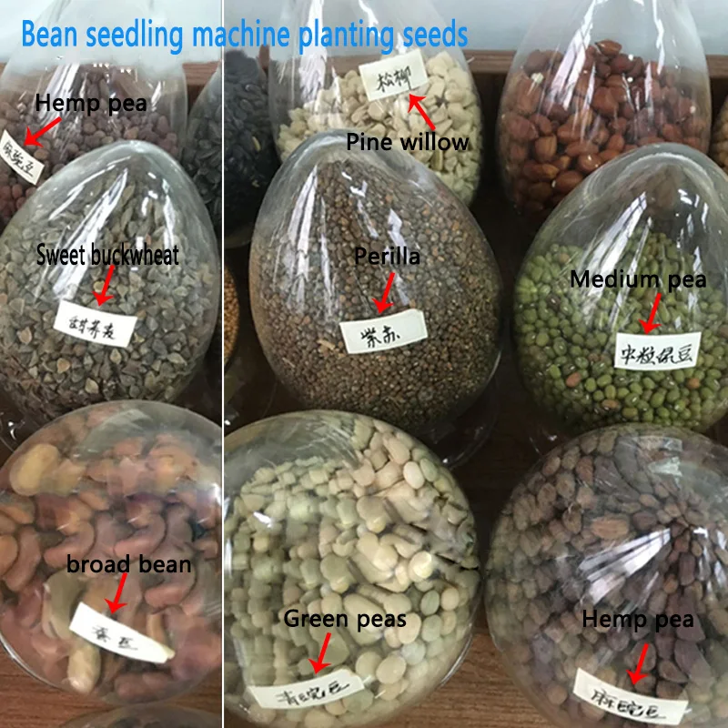 Commercial seed breeding machine Thermostatic control sprouts incubator Pollution-free seedling machine for wheat/garlic/pea 1PC