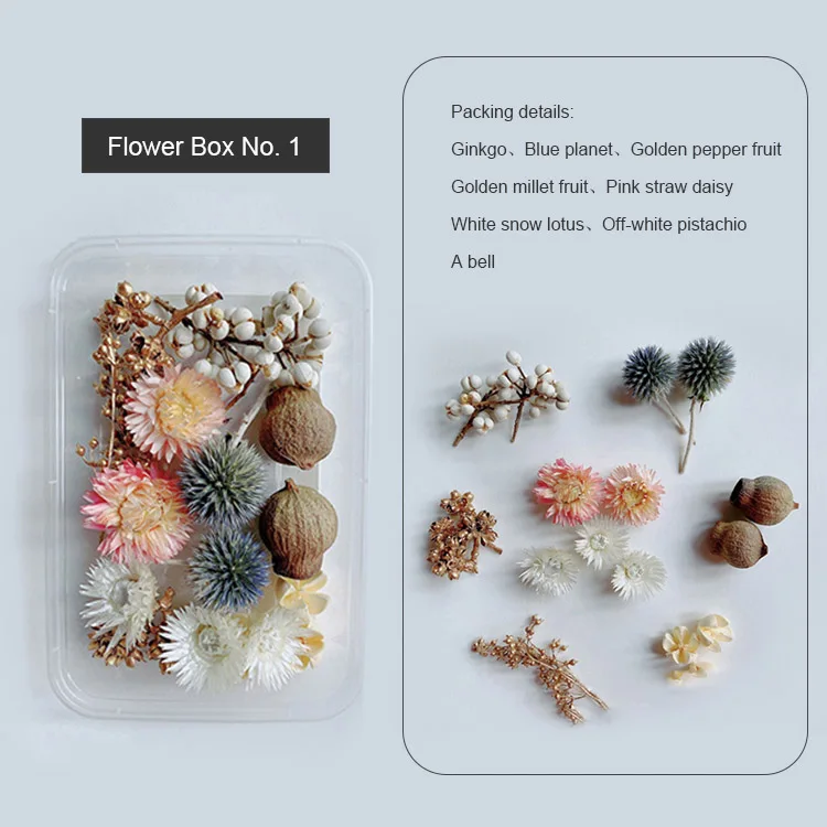 1 Box Real Dry Flower Dried Plants Natural Colorful DIY Frame Fan Embossing Materials Aromatherapy Candle Making Home Decoration 