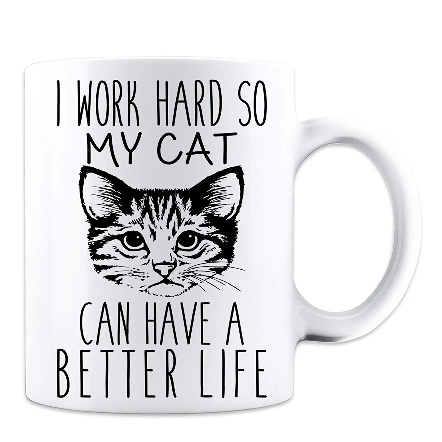 My cat can. Super cat стихотворение. My cat can. Я много работаю чтобы у моего кота. Can can cat.