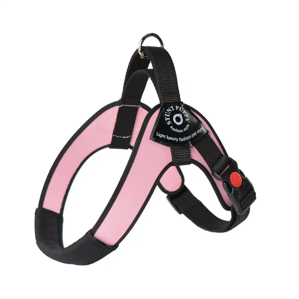 stunt puppy harness