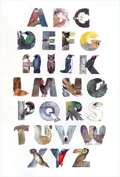 

JMINE Div 5D Alphabet Letter Bird artist Full Diamond Painting cross stitch kits art Animal 3D paint by diamonds