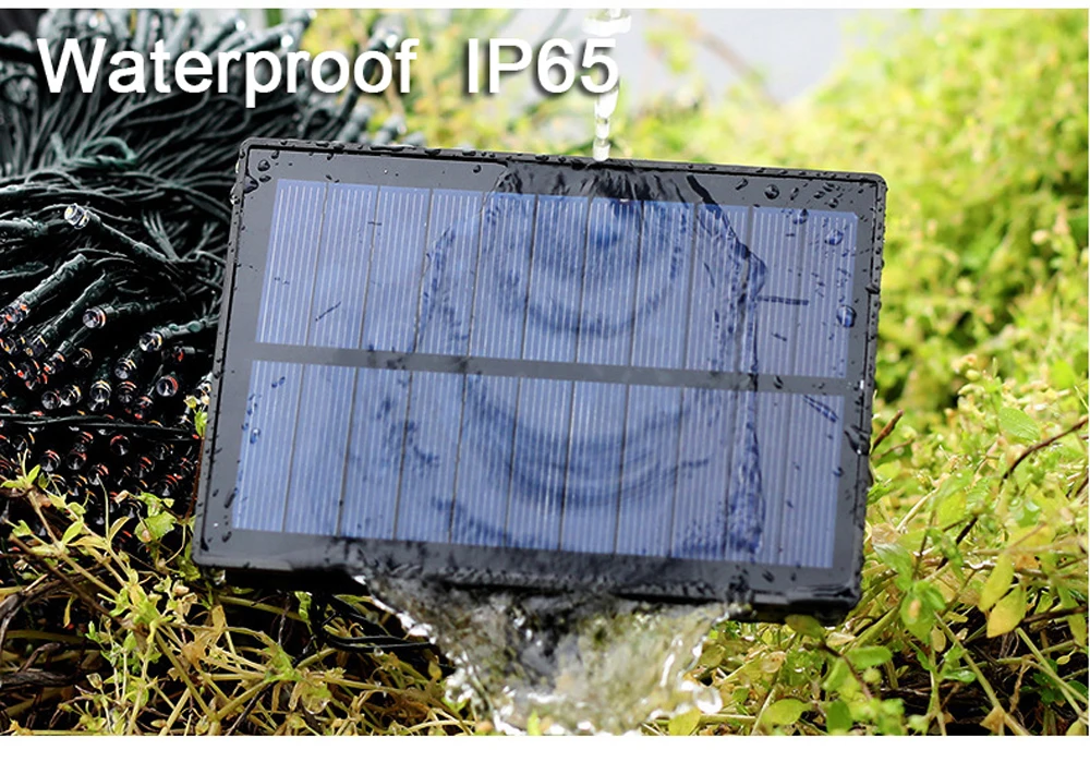 11103444718_831715609