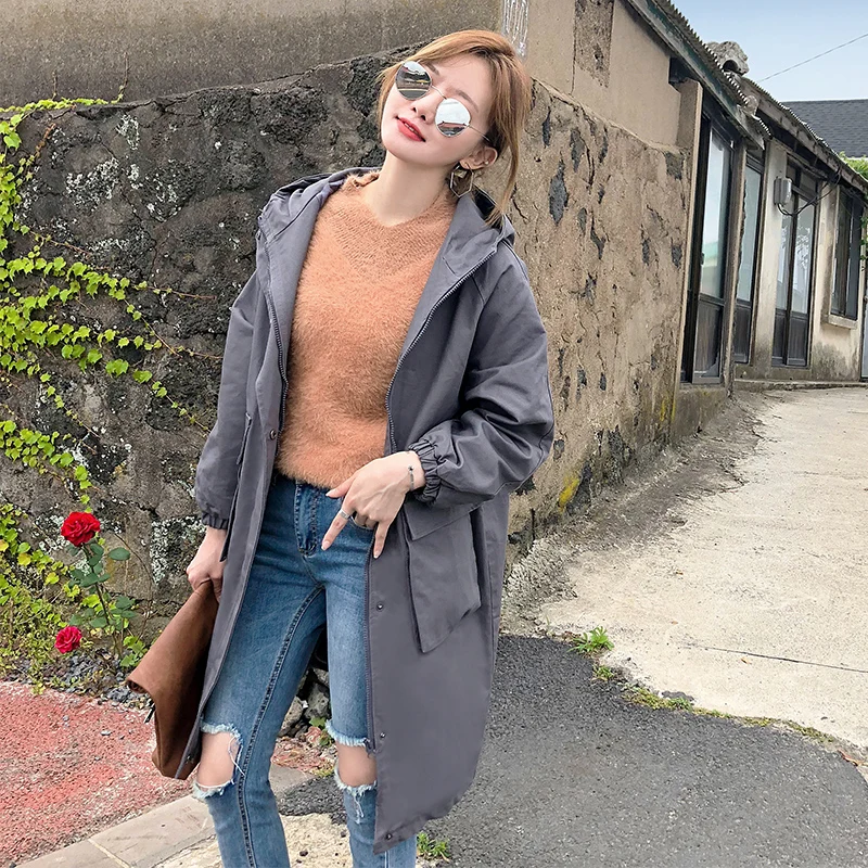 

Cheap wholesale 2019 new autumn winter Hot selling women's fashion netred casual Ladies work wear nice Jacket BP1908