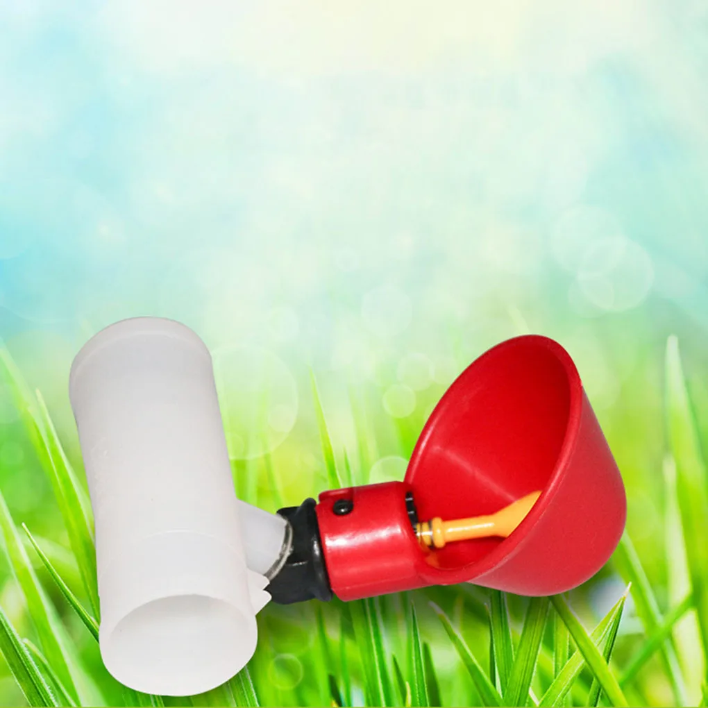 5pcs Poultry Water Drinking Cups Bowls Chicken Automatic Drinkers Birds Waterer Bird Water Dispenser