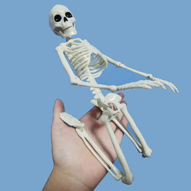 Активная человеческая кость модель анатомический Скелет медицинская модель скелета обучение Хэллоуин вечерние украшения скелет Искусство Эскиз