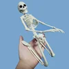 Active Human Model skeleto Anatomy Skeleton Skeleton Model Medical Learning Halloween Party Decoration Skeleton Art Sketch 1 Pcs ► Photo 3/6