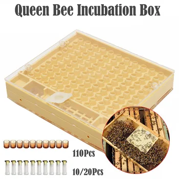 

Beekeeping Tools Set Rearing System Cultivating Box 110pcs Plastic Cups Bee Nicot Complete Catcher Cage Beekeeping Tools