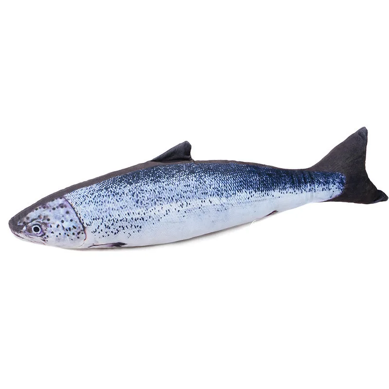 Salmon