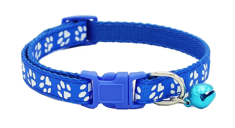 blue dog collar