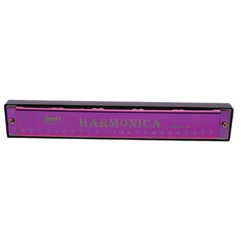 

DMTS 24 Hole Harmonica Key of C Mouth Metal Organ Musical Instrument Educational Toy with Case for Beginners