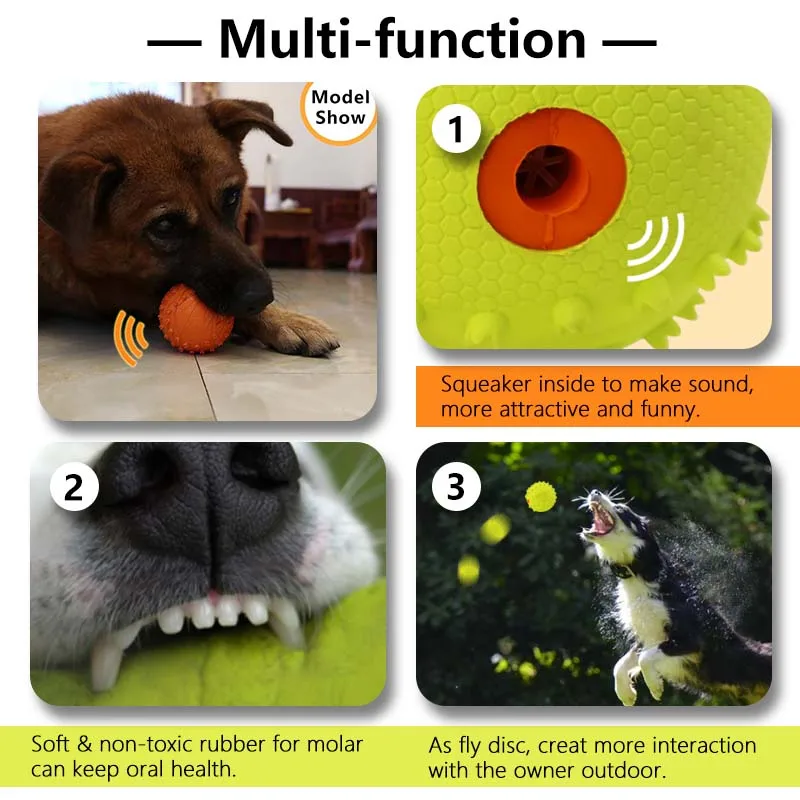 Can A Dog Pass A Squeaker