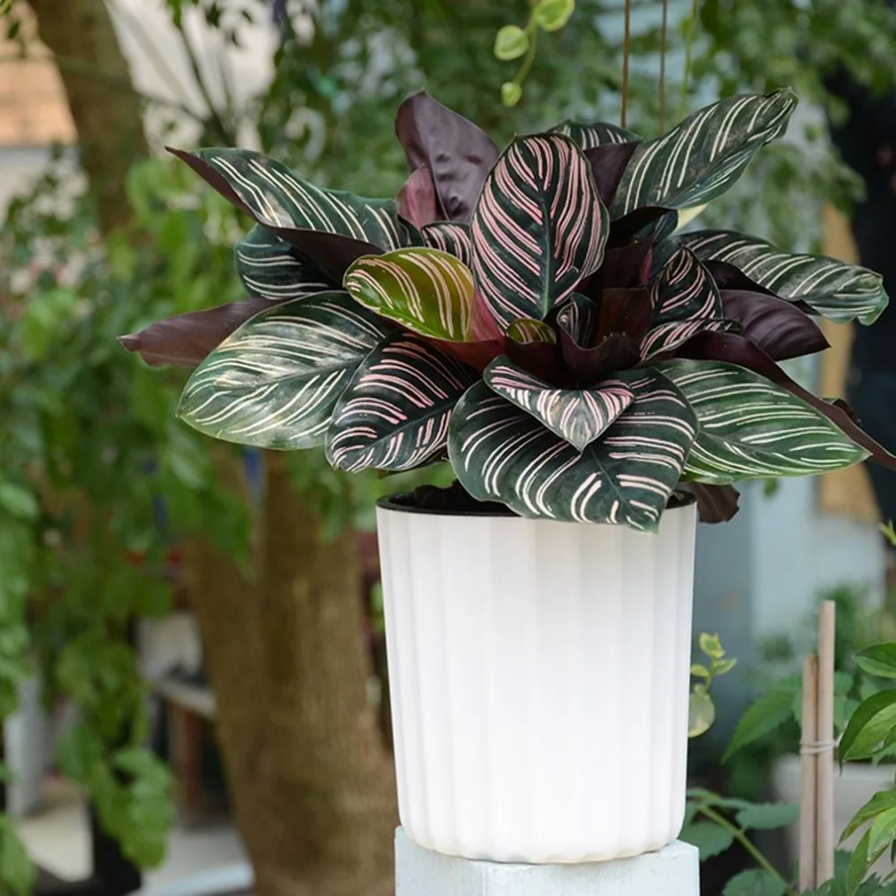 New Automatic Vertical Stripes Round Shape Self Watering Plant Flower Pot Planter For Desktop Table Floor Garden Home Decoration