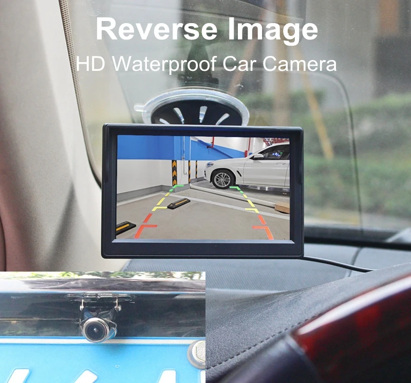 IMG_6499 牛眼_副本