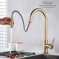 Brushed Gold Pull Out Kitchen Faucets 4