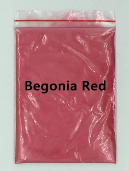 Begonia Red