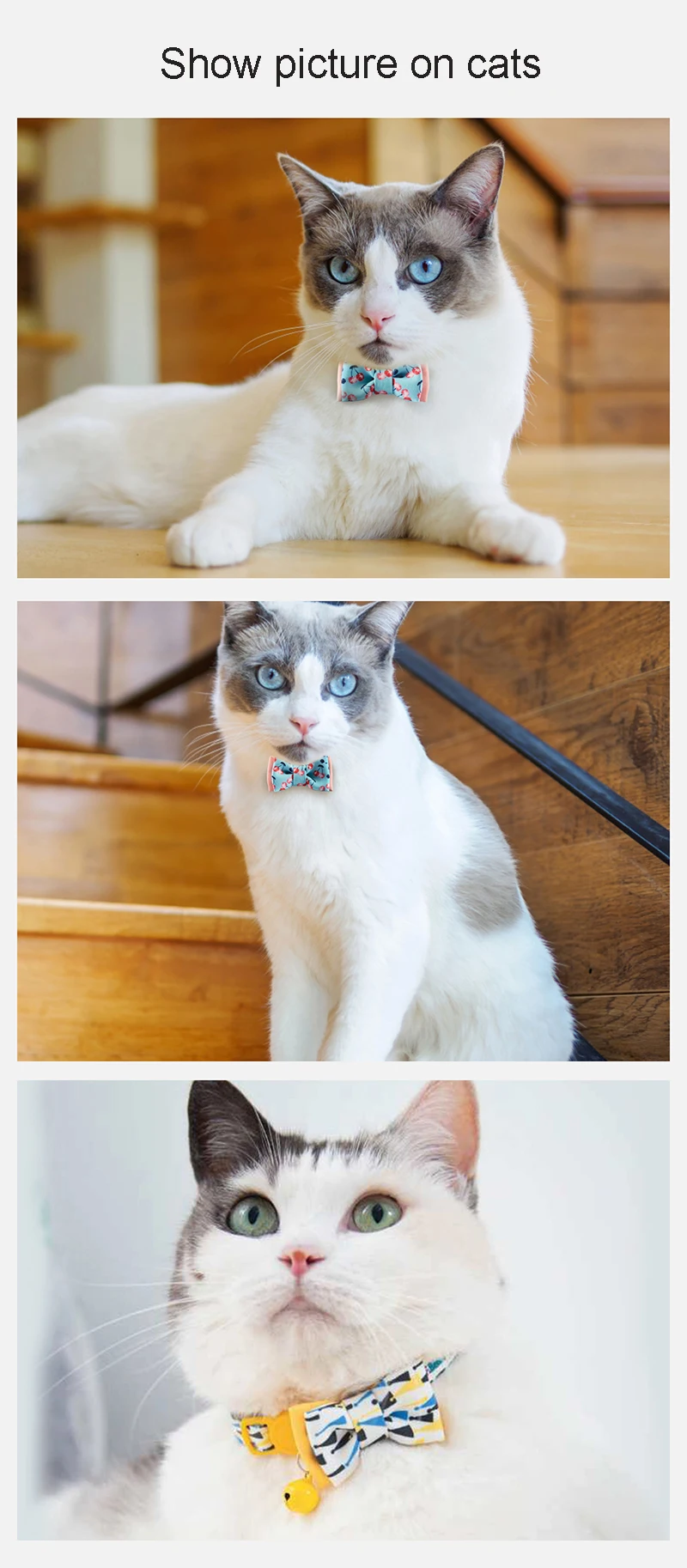 model picture