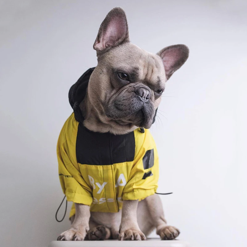 Ceny Moda Frenchbulldog płaszcz przeciwdeszczowy ubrania dla zwierząt domowych dla ubranie dla małego psa Chihuahua kurtka Pug bluzy z kapturem kostium Dropshipping PC1364