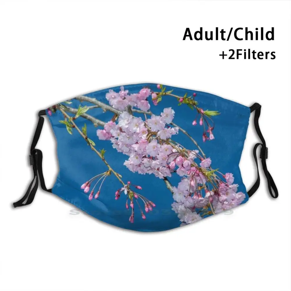 

Flowering Cherry Blossoms Adult Kids Washable Funny Face Mask With Filter Cherry Blossom Blossom Blossoms Floral Fine Art