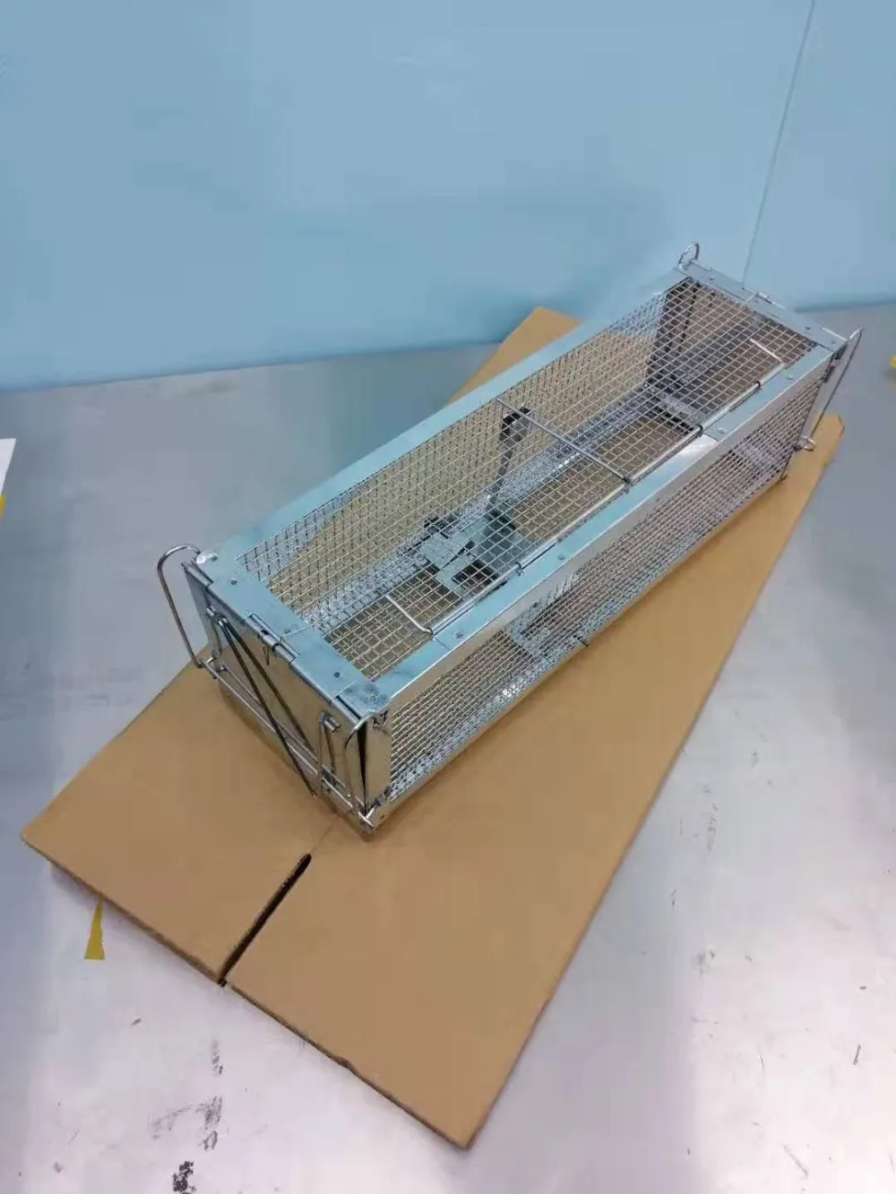 微信图片_20190822171550