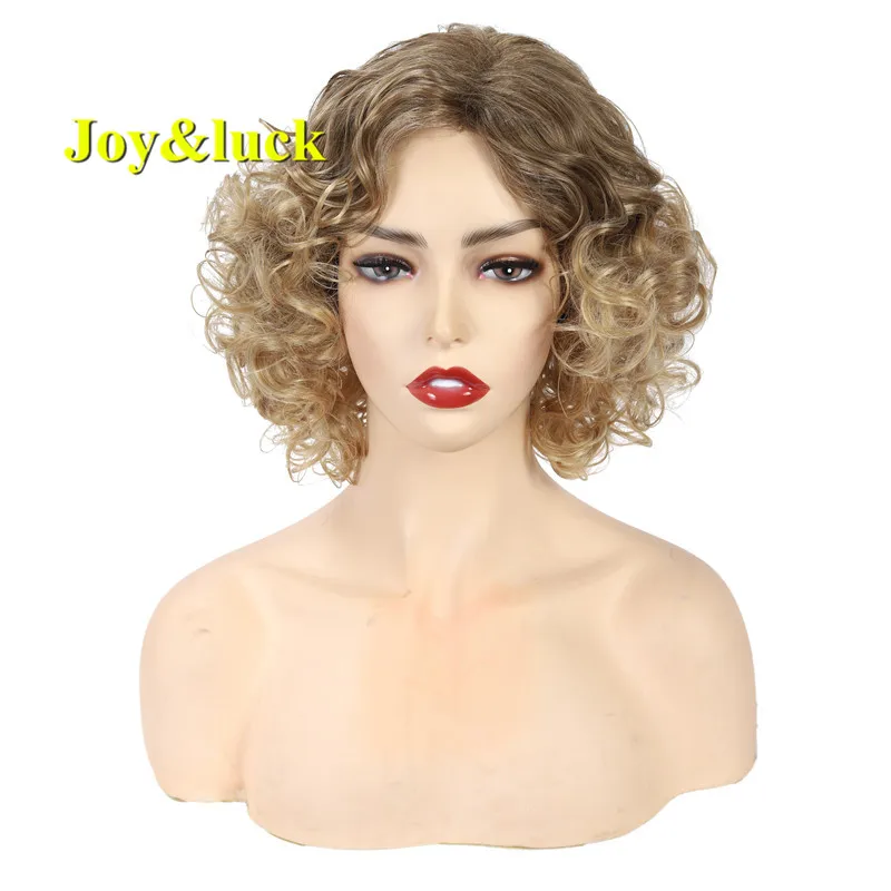 

Joy&luck Short Culry Synthetic Wigs Brown Ombre Blonde Wig for Women Wigs Natural Hair Wigs