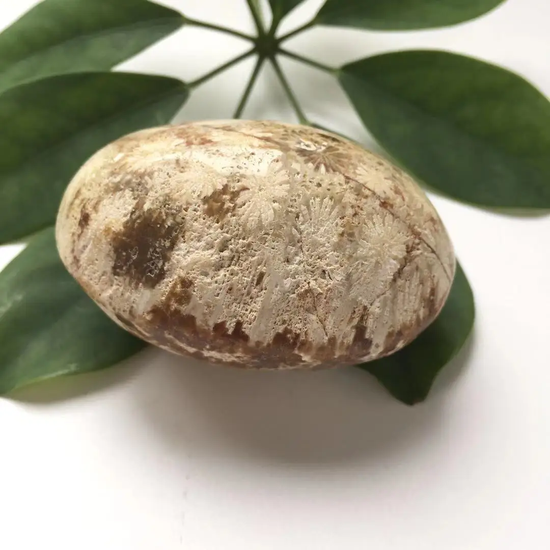 High Quality Natural Coraljade Hand Carved Crystal Palm Stones For Present Or Collection ZY